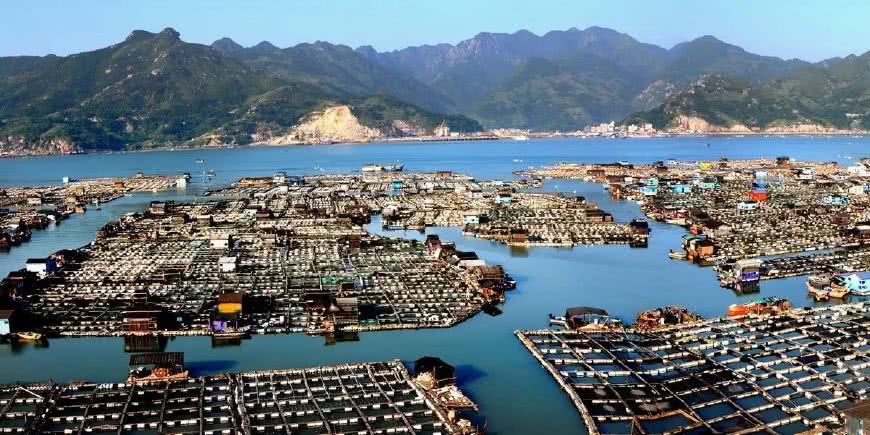 龙海论坛2.jpg