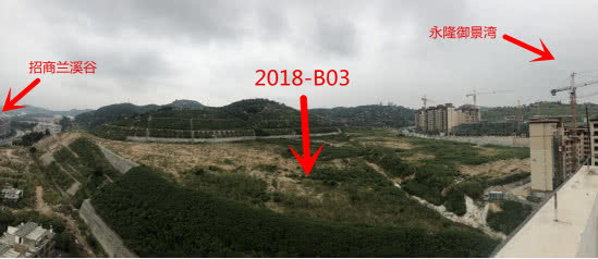 龙海论坛11.jpg