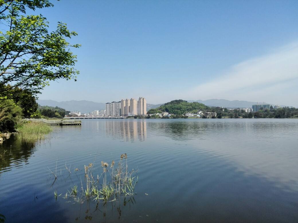 龙海论坛宁德市