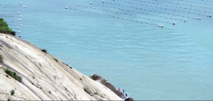 龙海论坛2.jpg