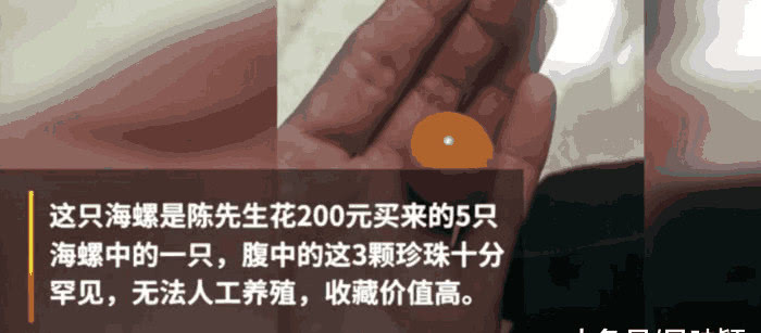 龙海论坛4.jpg