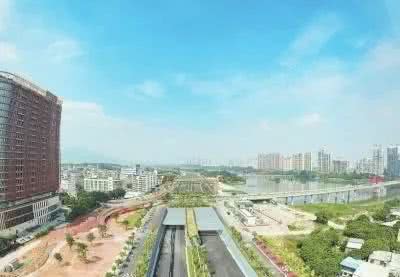 龙海论坛1.jpg