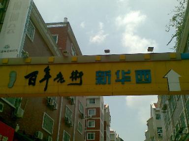 龙海论坛1.jpg