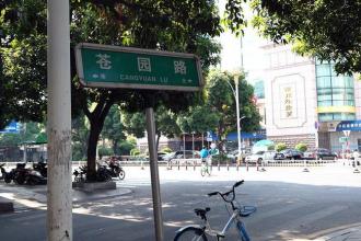 龙海论坛1.jpg