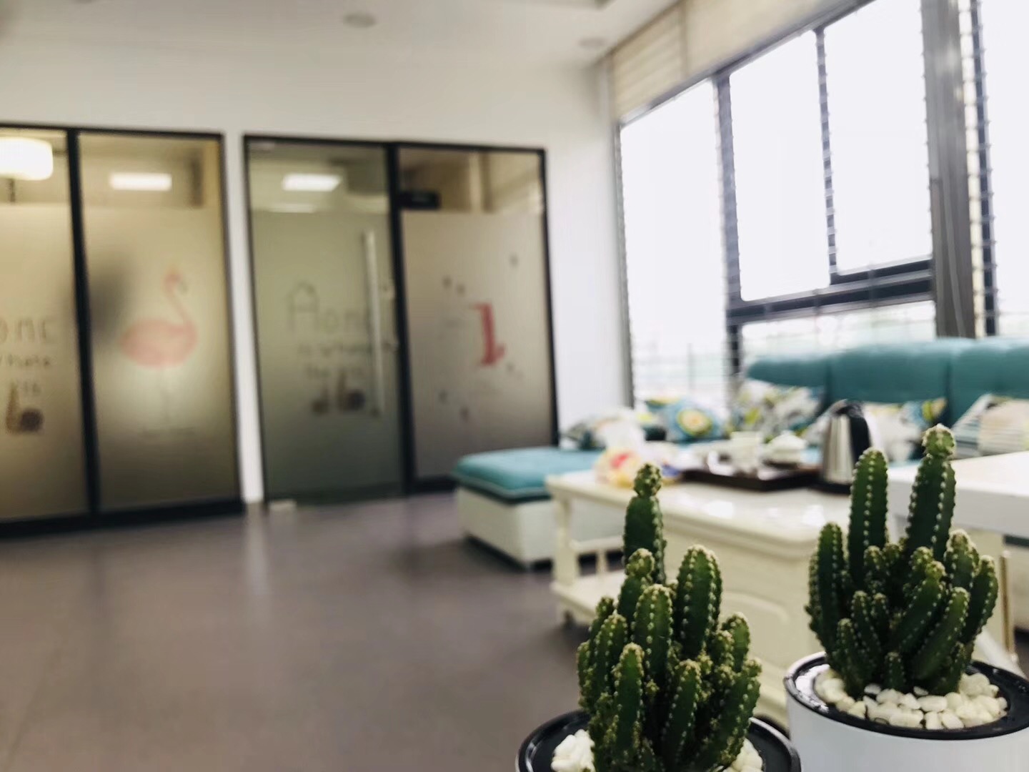 龙海论坛微信图片_20181210100003.jpg