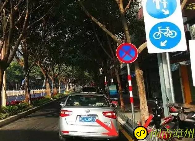 龙海论坛6.jpg