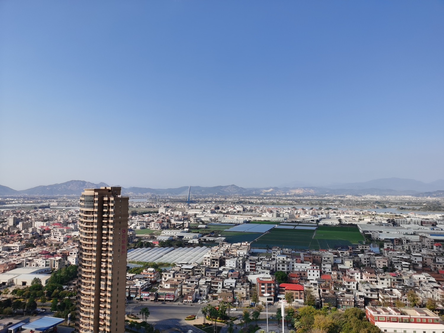 IMG_20220310_153020.jpg