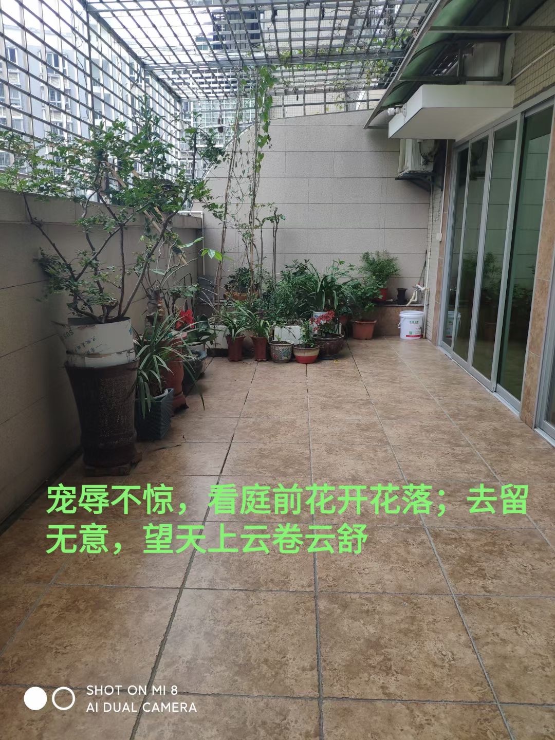 E5EF863A-B503-4691-AFD4-E87BE6E08DFE.jpeg