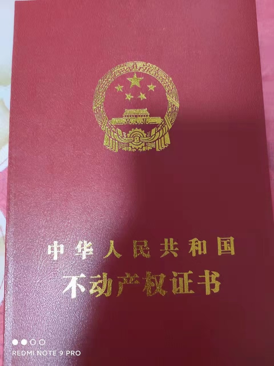 mmexport1646137690389.jpg